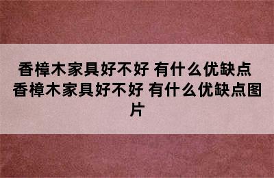 香樟木家具好不好 有什么优缺点 香樟木家具好不好 有什么优缺点图片